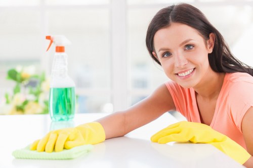 Home cleaners in Watford maintaining a spotless living room