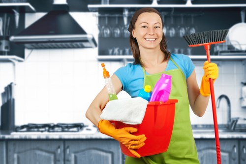 Deep domestic cleaning in Watford bathroom and surfaces