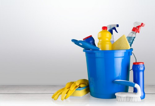 Cleaning team focused on hygiene and organization in a Watford property