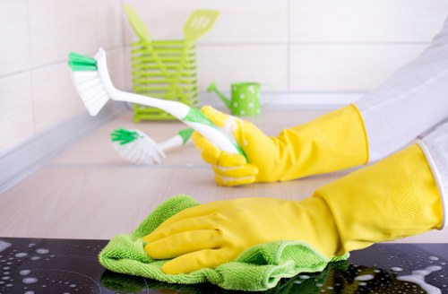 Deep carpet cleaning equipment used by a Watford specialist