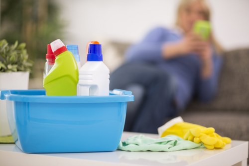 Final section of cleaning service terms with governing law and agreement details