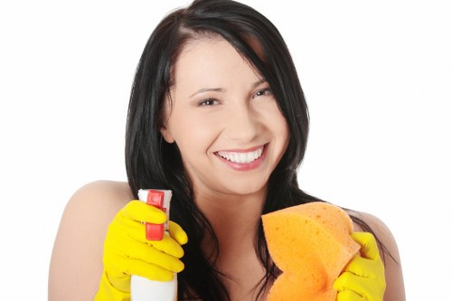 Deep upholstery cleaning service refreshing a living room sofa