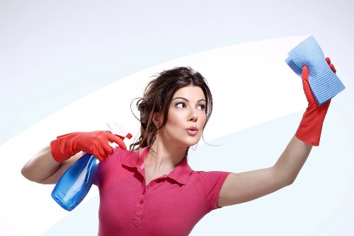 Cleaning checklist and booking details for a domestic cleaning appointment